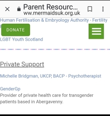 Mermaids being investigated by the charity commission