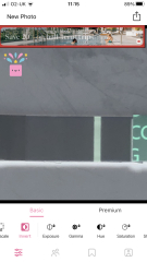 TTC chat thread 4