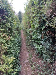 Come chat hiking with me!