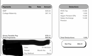 Workplace pension on maternity - AIBU?