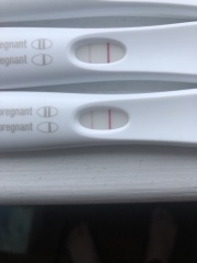 TTC after miscarriage Thread 11 🤞🏼✨