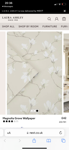 Curtain / decoration advice!