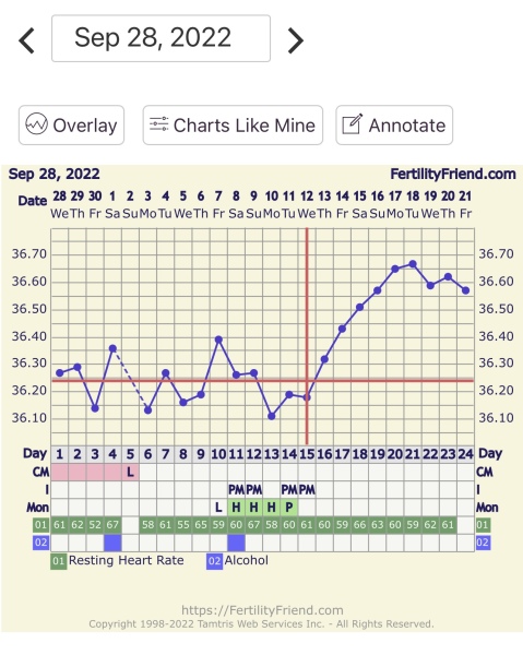 BBT Chart help. 🆘 