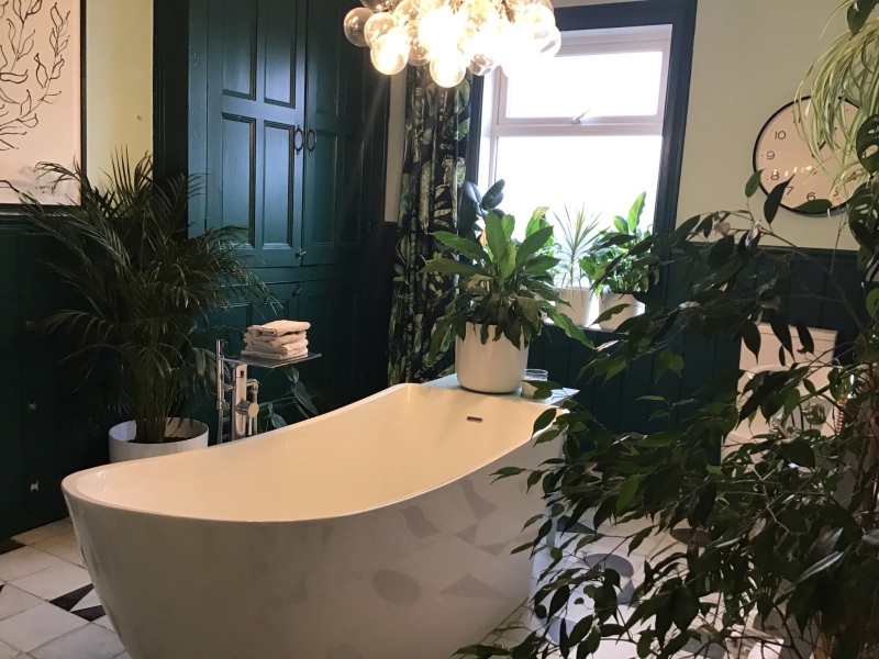 Plants in my bathroom