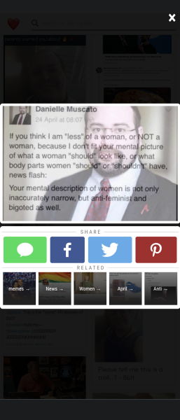 That this looks like a stunt to undermine trans issues