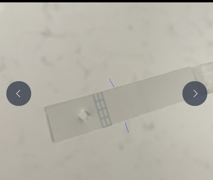 Clear blue digital question 