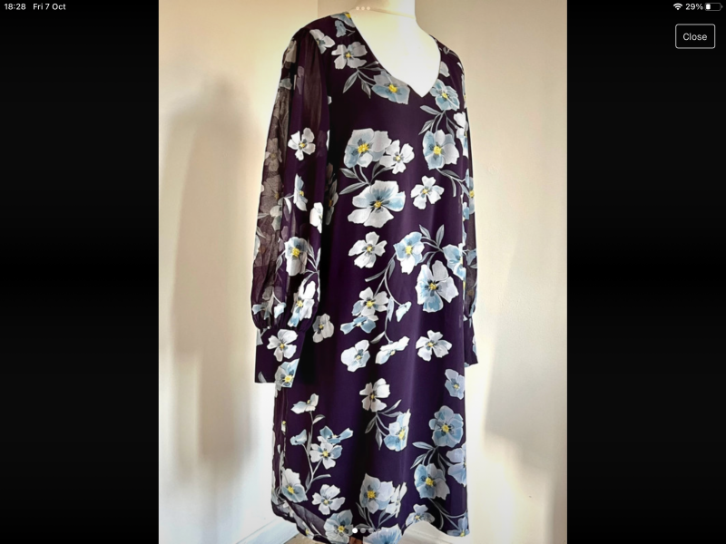Style experts - help me sort this dress out!