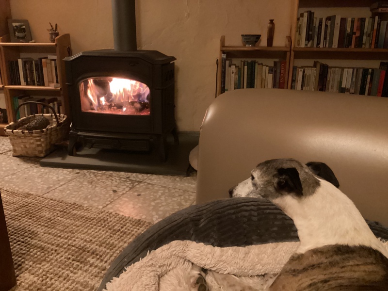 Can we please see pictures of your fireplaces and log burners ?