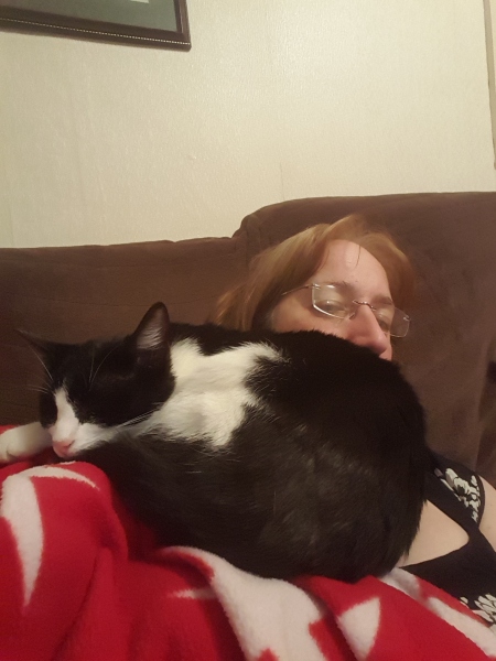 New kitten wrapping0 himself round our neck (cute pics)!