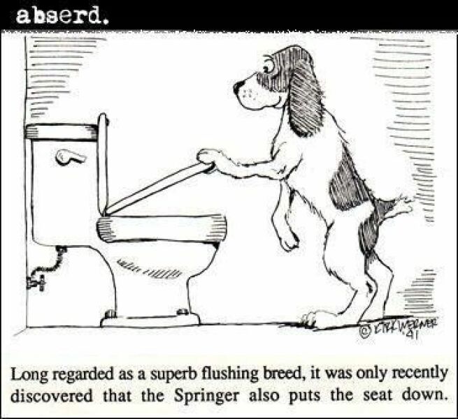 To think people wouldn’t like dogs if they could talk