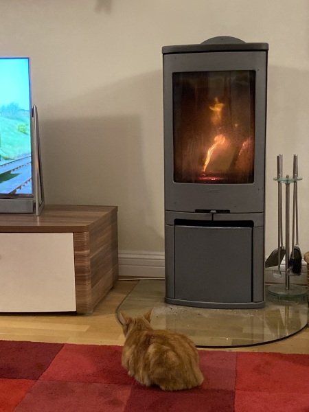 Can we please see pictures of your fireplaces and log burners ?