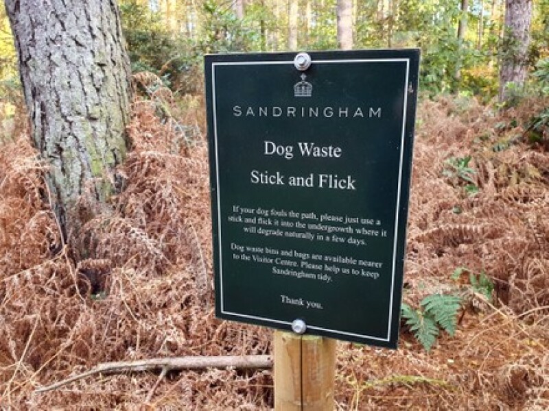 To ask, if you don't pick up your dog's poo, why?