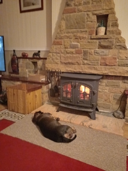 Can we please see pictures of your fireplaces and log burners ?