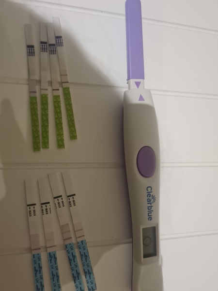 Pos OPK at CD6 now neg at CD9. Have i missed my window??
