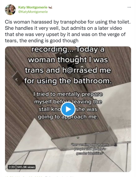 Woman harassed in women's bathroom by a gender critical woman who thinks she is trans, she is upset by the experience.