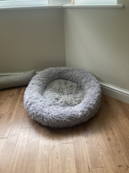 Dog bed suggestions