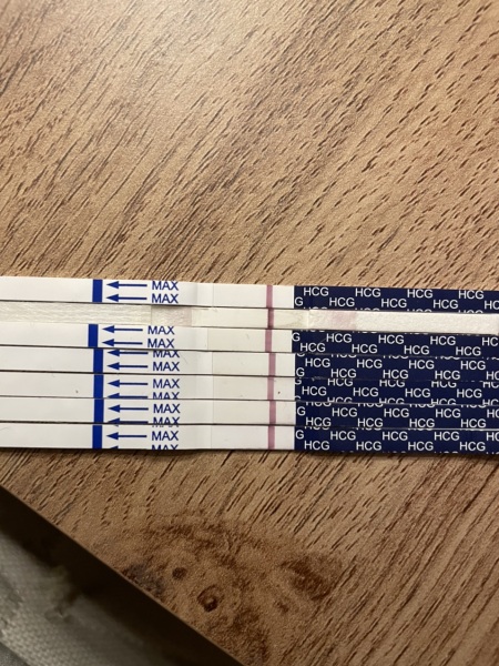 Lines, not lines...going insane