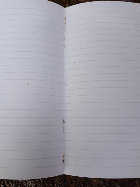 Bugs in notebook?!?