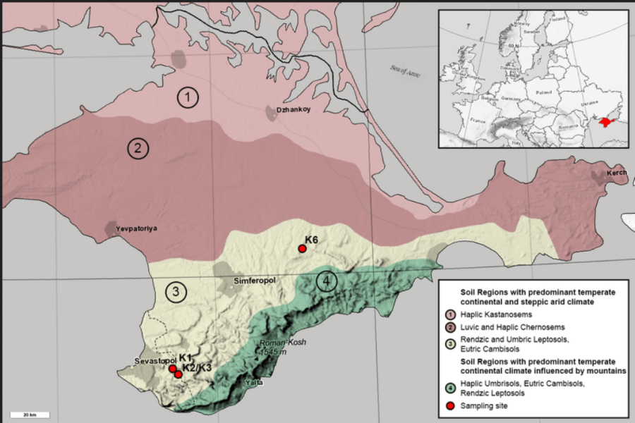 Ukraine Invasion: Part 33