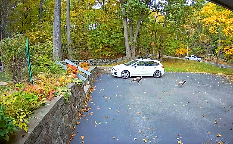 Come and tell me your dull and unexciting news 23: Calmly through the day 