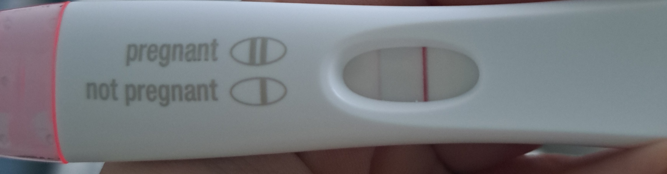 Pregnant straight after miscarraige