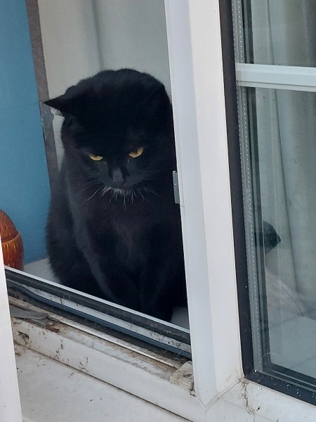 Brexit mega thread : part 9 : Winter is Coming