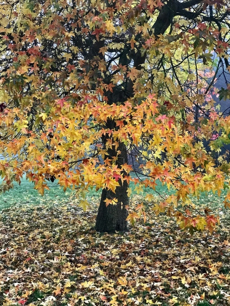 Come and tell me your dull and unexciting news 23: Calmly through the day 