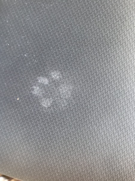 Would fingerprinting the cat be too weird?