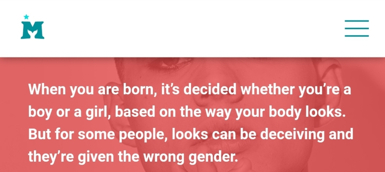 Mermaids being investigated by the Charity Commission - thread 2