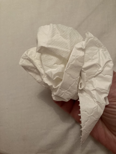 Do you fold or scrunch your loo roll?