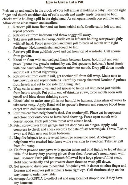 Help? I've acquired a very young kitten?