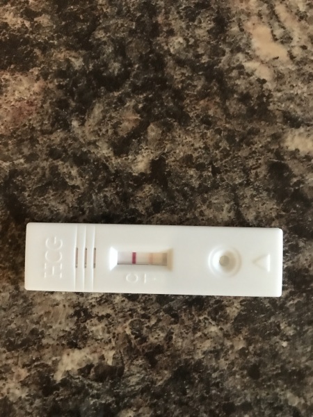FET in September/October