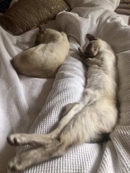 Brexit mega thread : part 9 : Winter is Coming