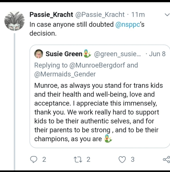 Mermaids being investigated by the charity commission