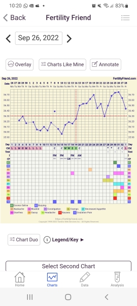 BBT Chart help. 🆘 