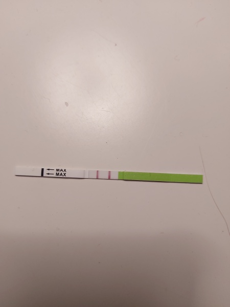 OPK reading help!