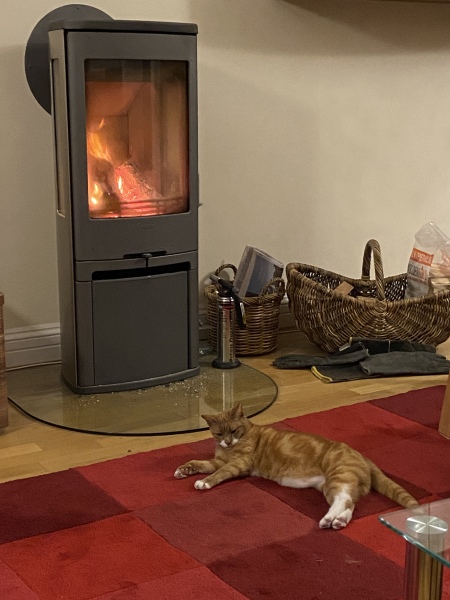 Can we please see pictures of your fireplaces and log burners ?
