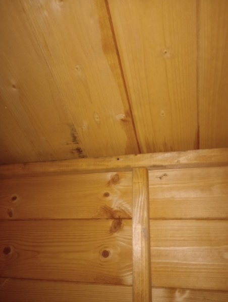 Is it normal to be this damp? - New wooden shed 