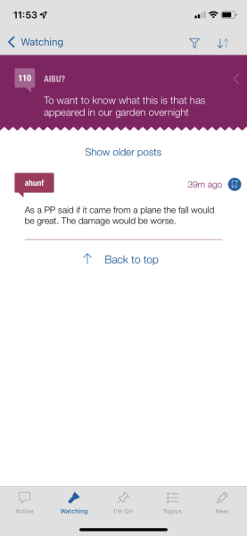 That plane debris in the garden thread 
