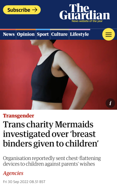 Mermaids being investigated by the charity commission