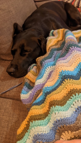 It's Crochet,  Knit & Natter 9: So Many Projects, So Little Time. (Oh well - I almost made it rhyme!)