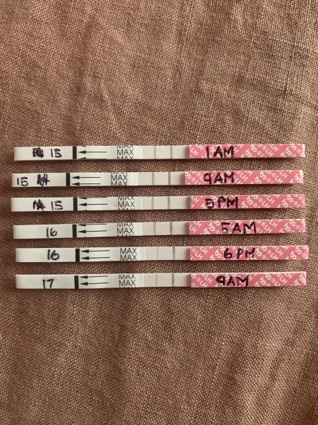 1dpo - it's going to be a long two weeks if anyone wants to symptom spot with me