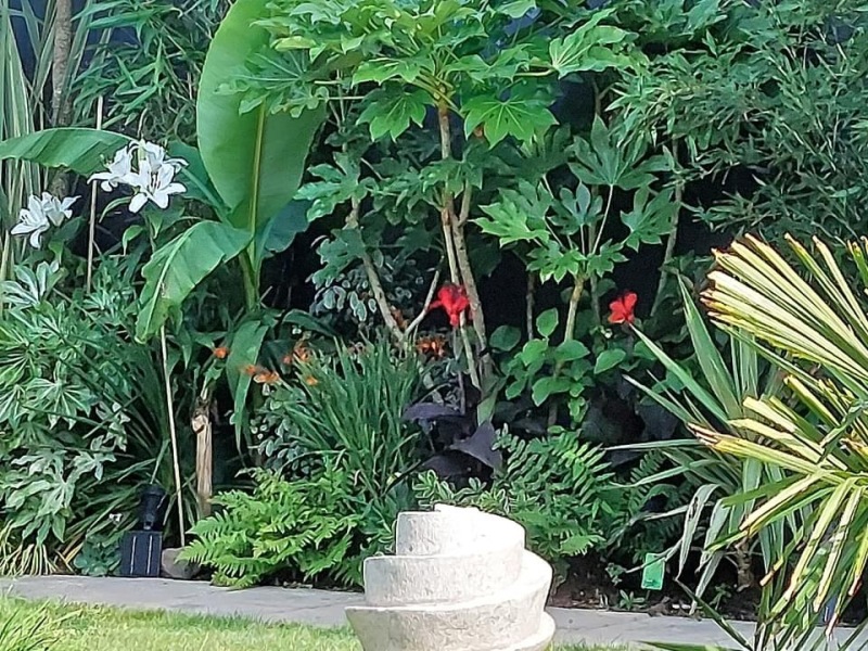 Fantasy Garden