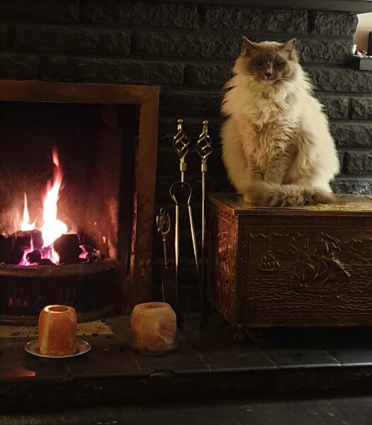 Can we please see pictures of your fireplaces and log burners ?