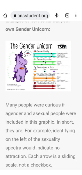 Doctors outraged at NHS trust’s two-hour lesson on ‘gender unicorns’