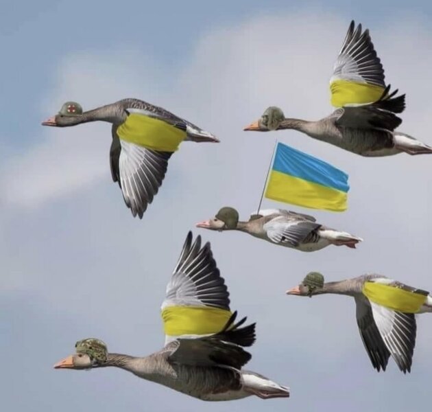 Ukraine Invasion: Part 34