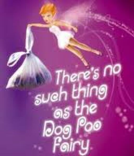 Clean up your dog sh*t