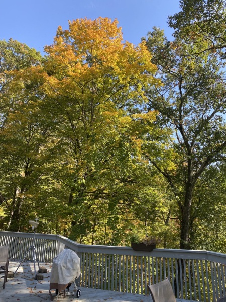 Come and tell me your dull and unexciting news 23: Calmly through the day 