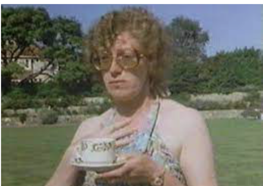 Has anyone ever read Malory towers?