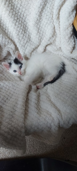 The freedom thread ( continued ) Riding the rollercoaster of an alcohol free life! Alcohol support for those wanting to give up drinking